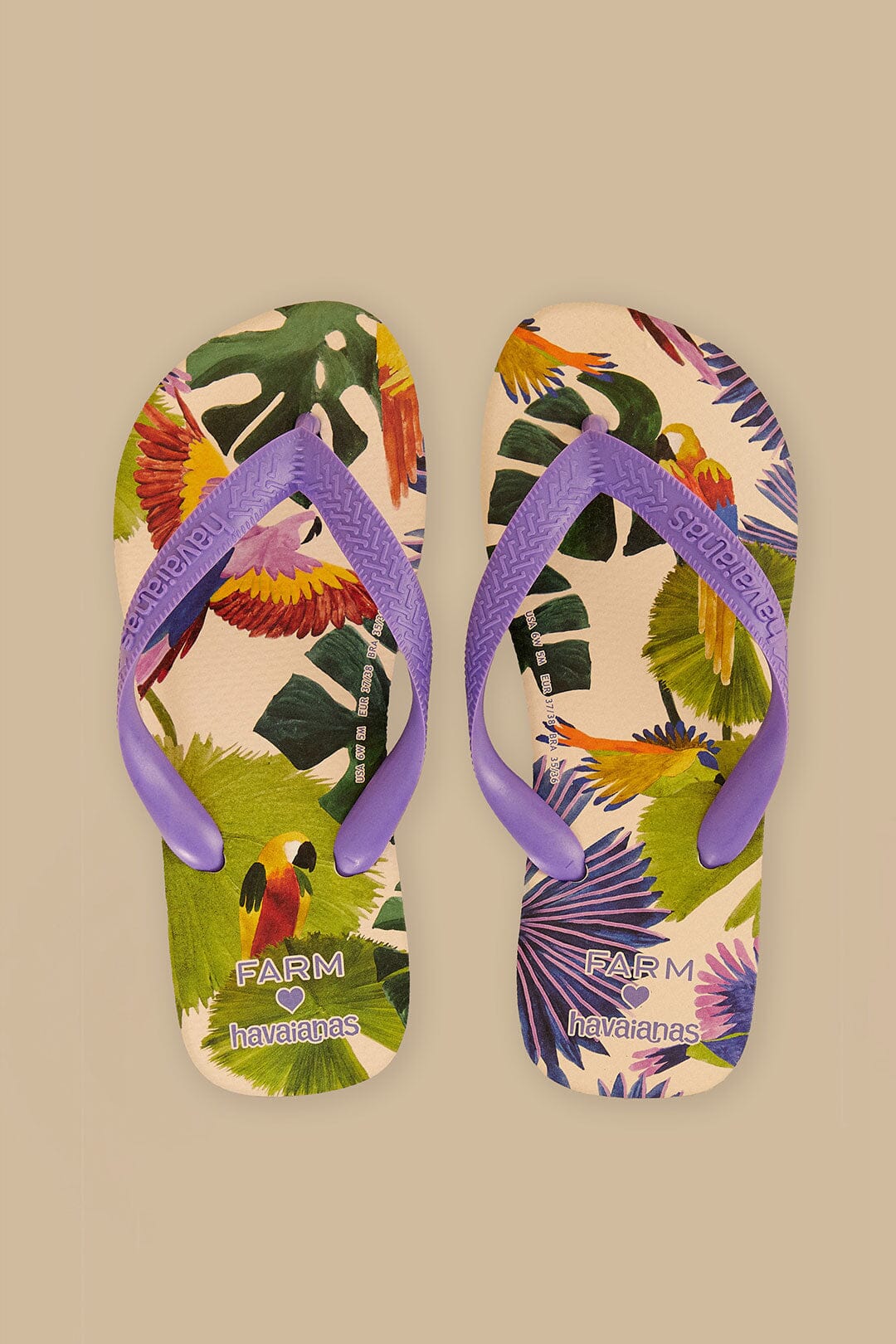 Havaianas Farm Passaros Colorful Flip Flops